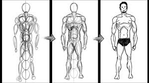 For example, wannarit's class called anatomy for the artist mainly focuses on giving students a thorough knowledge of the human body and unraveling complex. How To Draw A Basic Human Figure Using Circles Only Photoshop Easy Anatomy Drawing Tutorial Youtube