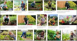 I work beside people charging £12/hr. Gardening Is Much In The News Via Garden Rant A Gardener S Notebook
