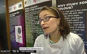 Cork Science Festival