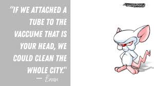 In each episode, brain devises a new plan to take over the world which ultimately ends in failure: 25 Best Pinky And The Brain Quotes Quotedtext