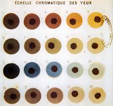 File Broca Eye Color Chart Jpg Wikimedia Commons