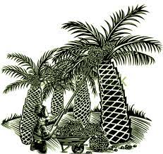 Ia adalah pokok maripa, pokok kelapa sawit amerika dan pokok kelapa sawit afrika. Sejarah Dan Kontribusi Kelapa Sawit Bagi Kehidupan Ayo Menanam