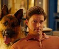 I'm absolutely heartbroken that this Puppy Boy has crossed over to the  Rainbow Bridge so soon. I am so sorry for the loss that all of you are  experiencing. Praying that The