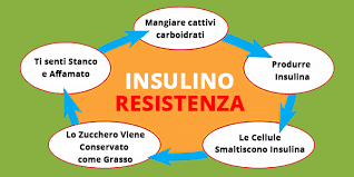 L'insulino resistenza è una condizione in cui le cellule presentano una elevata sensibilità all'azione dell'ormone insulina, che continua ad essere prodotto in concentrazioni normali. Insulino Resistenza Cosa E E Come Si Cura New Pam It Informiamo Brindisi E Provincia