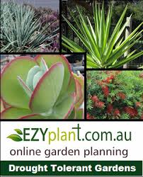 Another way to ensure your garden stays naturally healthy is to plant species native to your climate. Drought Tolerant Garden Plan Package Ezyplant