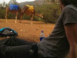 Escape the hustle and bustle of marrakech and head for the breathtaking atlas mountains, visiting the atlas mountains that make the region famous: Atlas Mountains And Camel Ride Small Group Day Trip From Marrakech Tours Activities Fun Things To Do In Marrakech Morocco Veltra