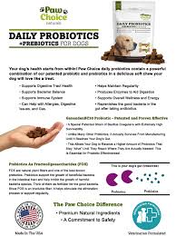 By definition, probiotics are live microorganisms that result in health benefits to the host, when ingested in sufficient amounts. Amazon Com Probiotics For Dogs With Prebiotics Daily Chews For Digestion Regularity Diarrhea Relief Plus Supports Immune System And Health Natural Supplement And Treat Made In Usa Pet Supplies