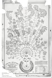 The Evolution Of The Org Chart Pingboard