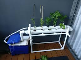 How to make cheap mini hydroponic diy systems. Hydroponics Pvc Setup Wedding Dress And Planner Online