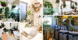 Hanging plants can be displayed at eye level or even higher, and they never fail to enhance a room's aesthetic. 18 Best Hanging Plant Ideas For Bathroom That Will Make It Full Of Life Decor Home Ideas