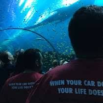 Pull a part conley ga. Pull A Part Jobs Glassdoor