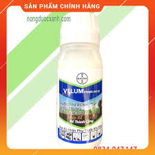 Velum Prime 400SC
