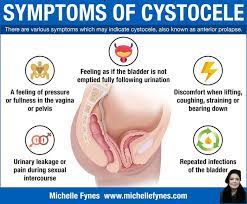 Pin On Gynaecology