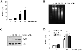 The food and drug administration had received reports of 12 deaths that might have involved use of the drug, including nine in the united states. Ru486 A Glucocorticoid Receptor Antagonist Induces Apoptosis In U937 Human Lymphoma Cells Through Reduction In Mitochondrial Membrane Potential And Activation Of P38 Mapk