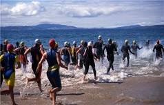 Giant Acorn Triathlon