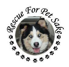 For pets sake's adoption process. Pets For Adoption At Rescue For Pet Sake In Grass Valley Ca Petfinder