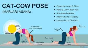 Find related exercises and variations along with expert tips. Cat And Cow Pose Marjariasana Yoga For Beginners 10 Yoga Position To Get You Start Catscarefor Yoga Positions For Beginners Yoga For Beginners Cow Pose
