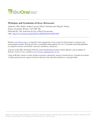 Image result for Hypertelis bowkeriana