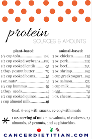 amount of protein in various foods charts and lists