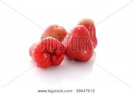 We did not find results for: Jambu Air Merah Images Illustrations Vectors Free Bigstock