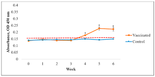 When i first signed up for my sejahtera app, i was low risk, no illnesses. Vaccines Free Full Text Vaccine Efficacy Of A Newly Developed Feed Based Whole Cell Polyvalent Vaccine Against Vibriosis Streptococcosis And Motile Aeromonad Septicemia In Asian Seabass Lates Calcarifer Html