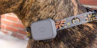 Best gps pet locator overall: The Best Gps Trackers For Cats And Dogs For 2021 Reviews By Wirecutter