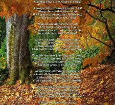 Under The Old Maple Tree Nature Poems Tree Maple Tree Nature Poem
