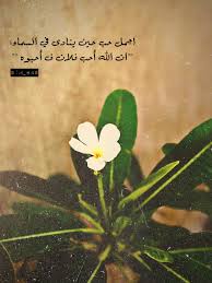 Pin By M H On صور Plant Leaves Movie Posters Plants