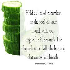 Pin On Health