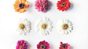 To download shutterstock images for free without a watermark, use its free trial. Free Stock Photos To Download Shutterstock