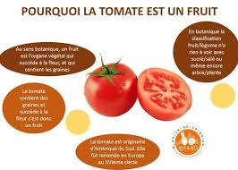 La Tomate Fruit Ou Legume Dossier Par Camille Msc In Life Science