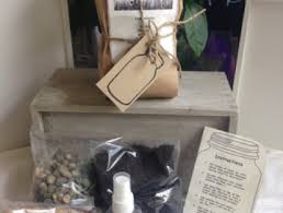 Diy Terrarium Kit Felt