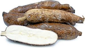 Yuca Root Information and Facts