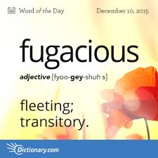 Fugacious Word Of The Day Dictionary Com Words Unique Words Definitions Word Of The Day