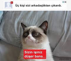 Kediler Arsivleri Dipsoz Sozun Dibi Guzel Sozler