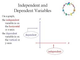 It is variable that measures the effect of the independent variable on the test units. Vocabulary Dependent Variable Independent Variable Input Output Function