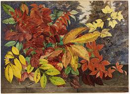 Image result for Autumn Buff 1972 Hussmann