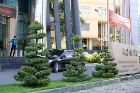 Với nhiều khuyến mãi hấp dẫn, trả góp 0% Vi Sao Bá»‹ Can Pháº¡m Nháº­t Vinh Tá»•ng Giam Ä'á»'c Cong Ty Nguyá»…n Kim Bá»‹ Truy Na Vietstock