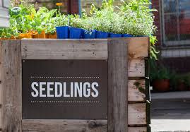 What Herbs Fruits And Veggies To Grow In Autumn