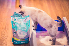 Revolutionary Health Monitoring Cat Litter Prettylitter