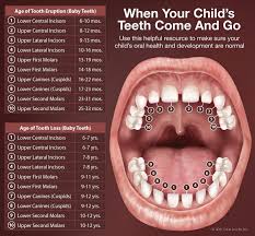 Childrens Dentist Tacoma Pediatric Dentistry Dr Giesy Pediatric Dentistry Dentistry Baby Teeth