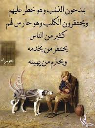 Pin By Jumah On Photography Wisdom Quotes Life Life Lesson Quotes Arabic Quotes