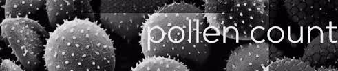 Jun 29, 2021 / 10:19 am edt Stream Pollen Count Music Listen To Songs Albums Playlists For Free On Soundcloud