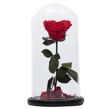 You can also turn to their timeless love series (from $42), which puts a single rose and cotton flower in a sea of dried baby's breath and other small blooms. Live Flowers That Last All Year And Don T Require Watering Forever Rose Brands