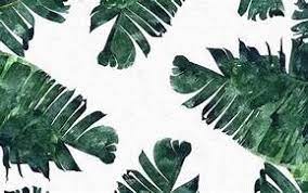 Vsco Macbook Backgrounds Yahoo Search Results Image Search Results Desktop Wallpaper Macbook Imac Wallpaper Free Desktop Wallpaper
