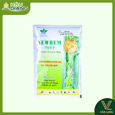Newbem 750WP