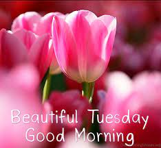 Maybe you would like to learn more about one of these? 38 Good Morning Wishes On Tuesday