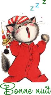 Bonne nuit - Chat - Pyjama - Gif animé - Gratuit - Le Monde des Gifs