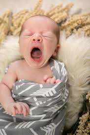 Elizabeth Claire Photography (@ElizabethClairePhoto)