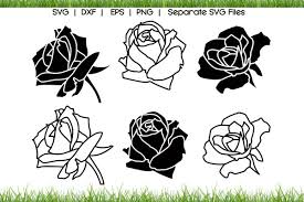 All of our files are in svg cuts png & jpg format so, our shapes are also the cuttest clipart and digital scrapbooking images available. Rose Svg Cut Files Graphic By Vectorsvgformet Creative Fabrica